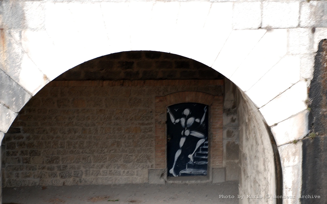 이미지 13.JPG