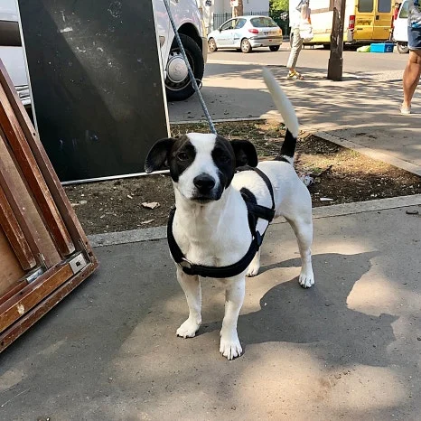 IMG_0211.JPG?type=w466