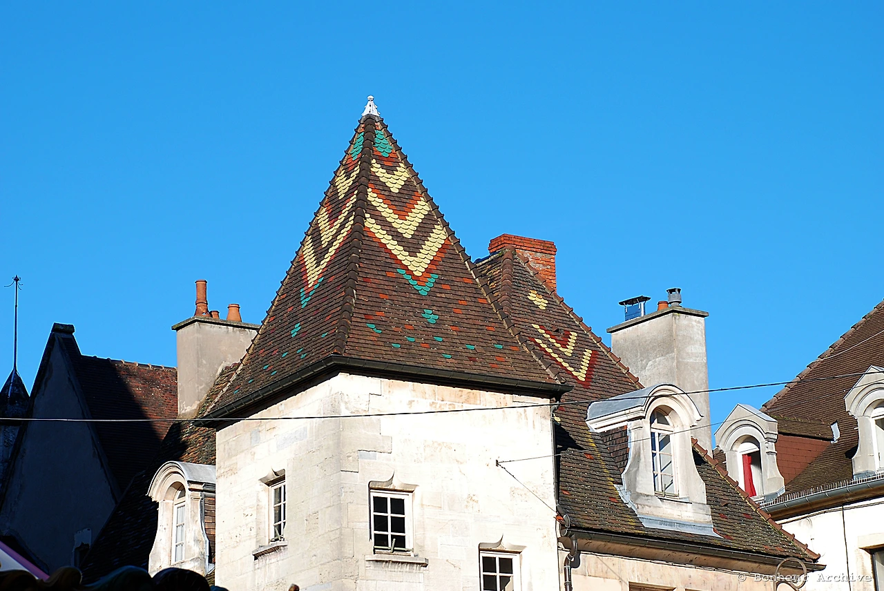 이미지 02.JPG