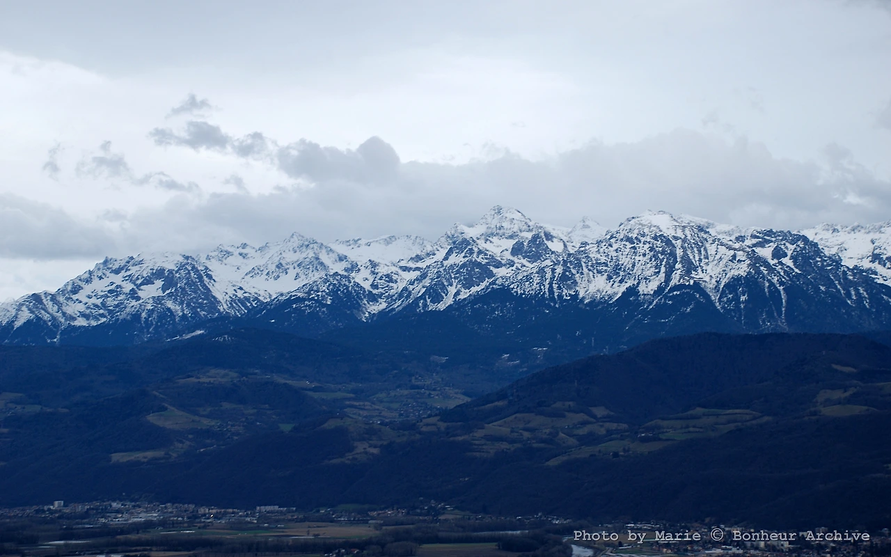 이미지 06.JPG