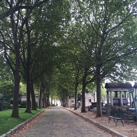 IMG_4519.JPG?type=w466