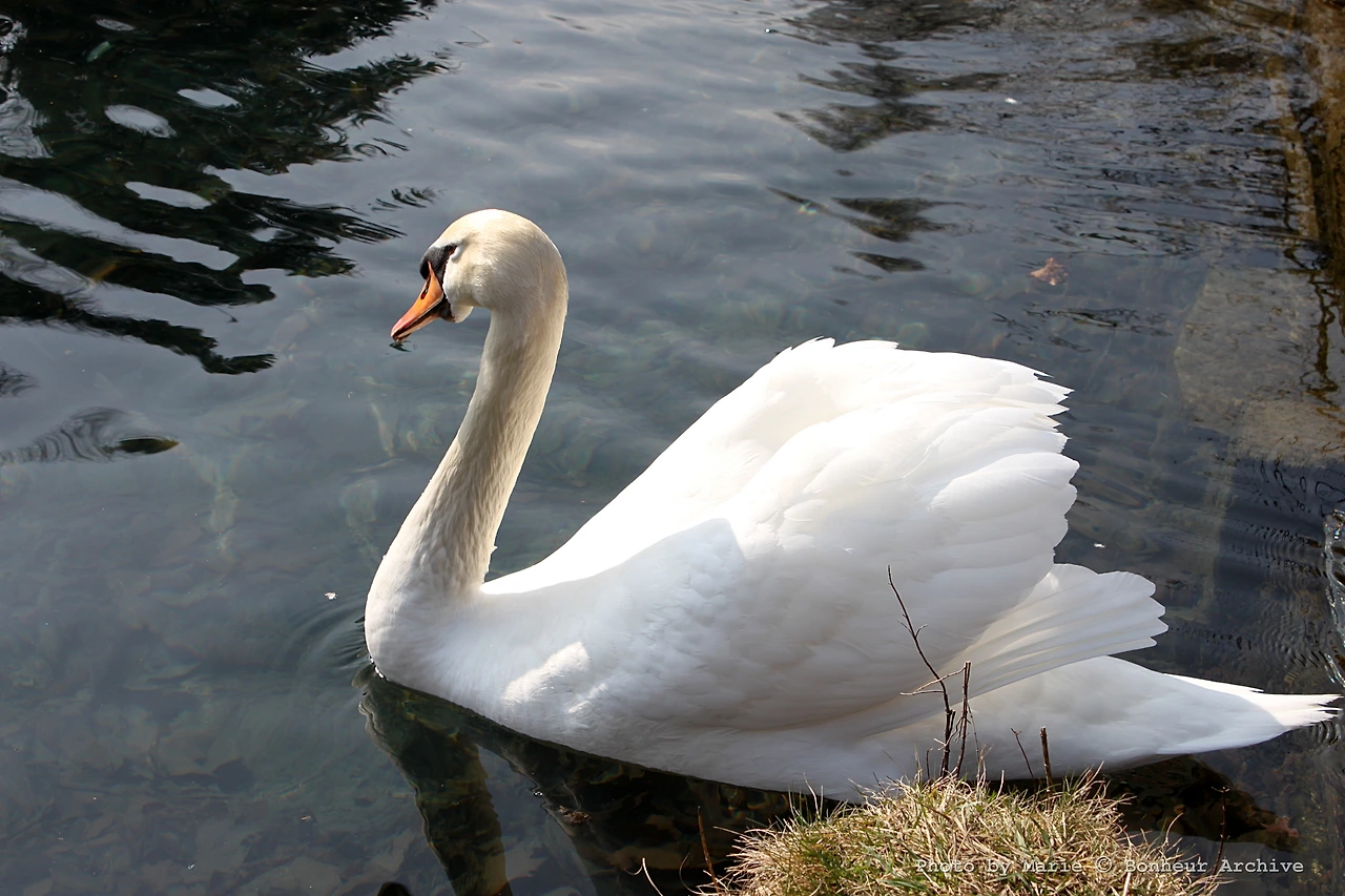 이미지 19.JPG