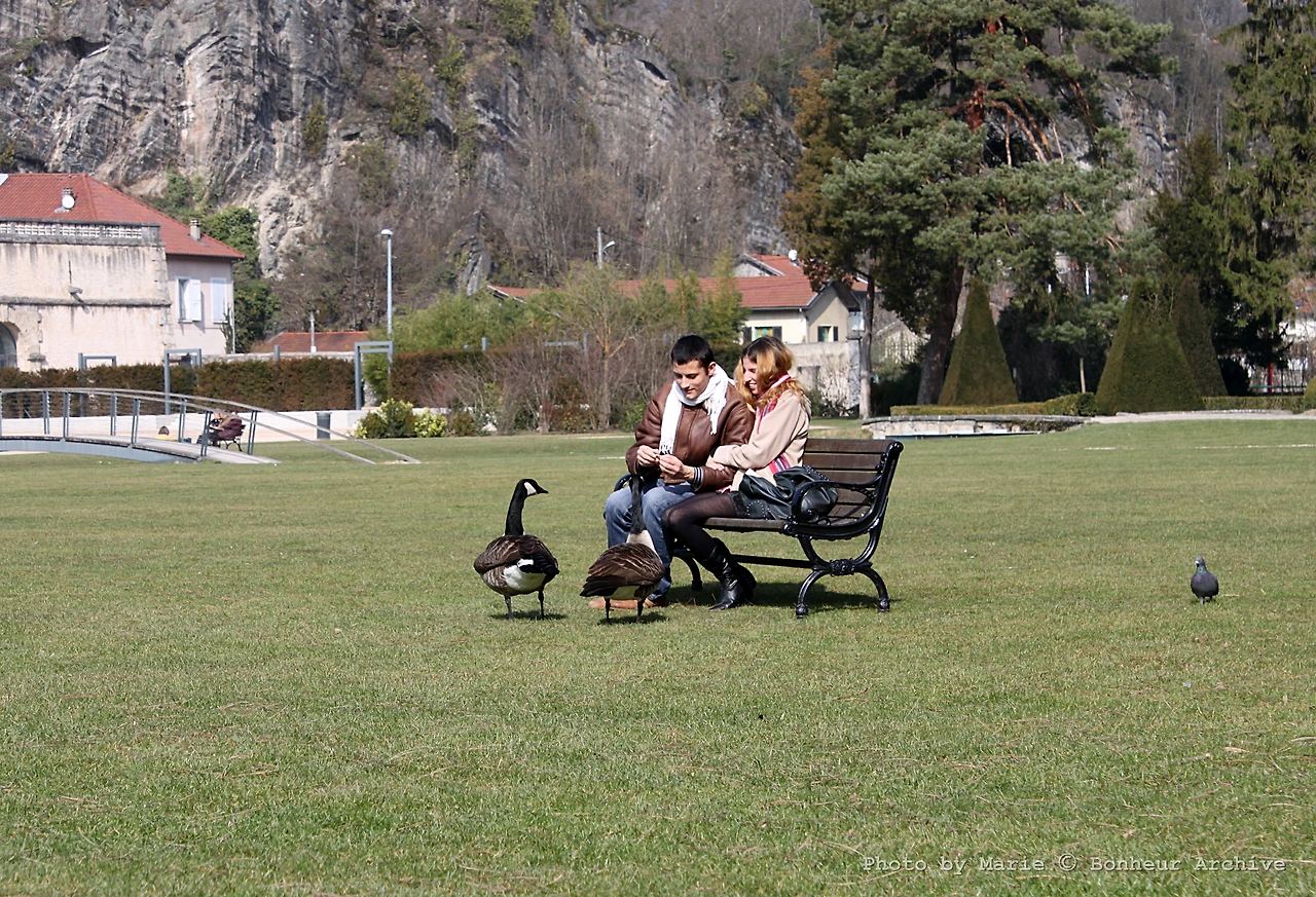 이미지 18.JPG