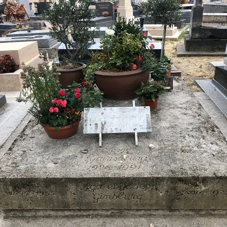 IMG_14.jpg?type=w466