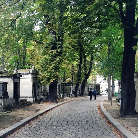 IMG_4501.jpg?type=w466