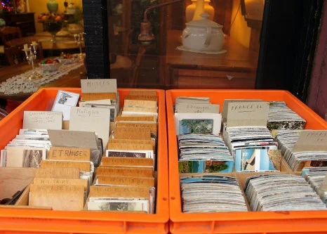 IMG_0307.JPG?type=w466