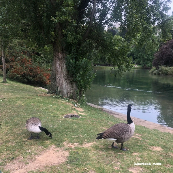 SE-7e2bf781-4fc6-446b-9c60-b06411cb3842.jpg?type=w1