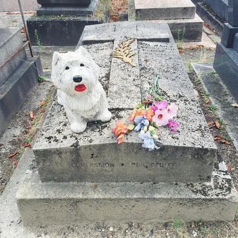 IMG_4513.jpg?type=w466