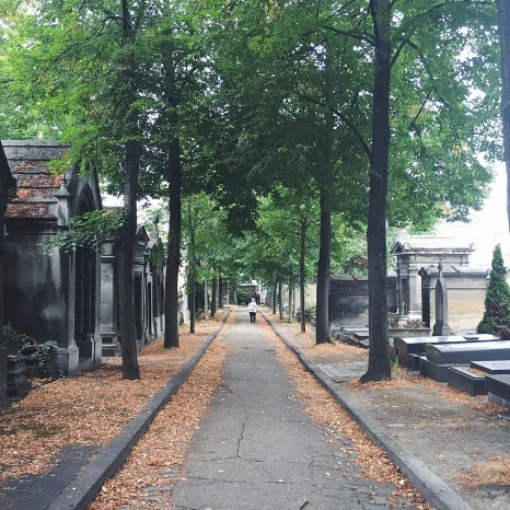 IMG_4500.JPG?type=w466