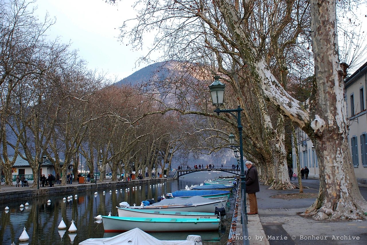 이미지 06.JPG