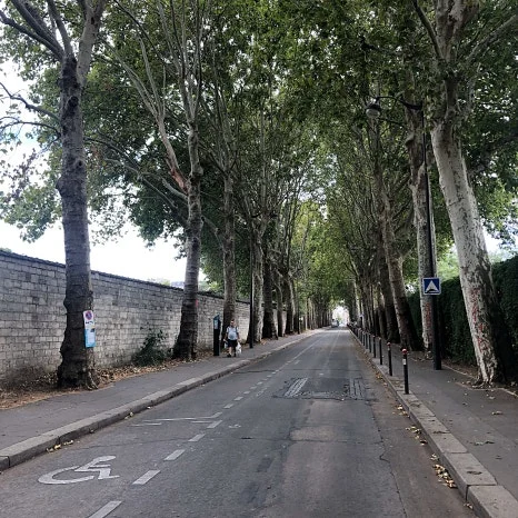 IMG_17.jpg?type=w466