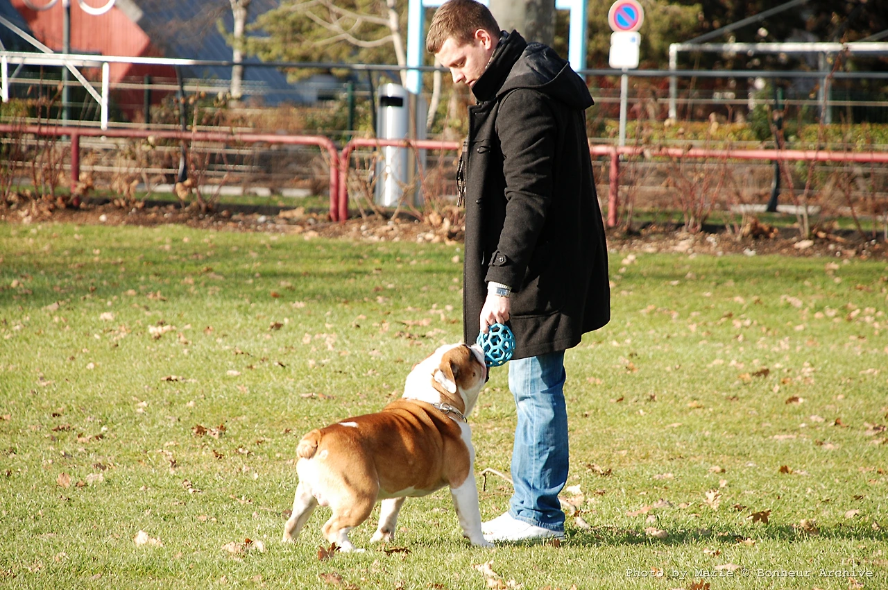 이미지 05.JPG