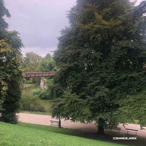 SE-010fb1ff-da8c-4bf4-85e5-7b23c0578ad5.jpg?type=w1