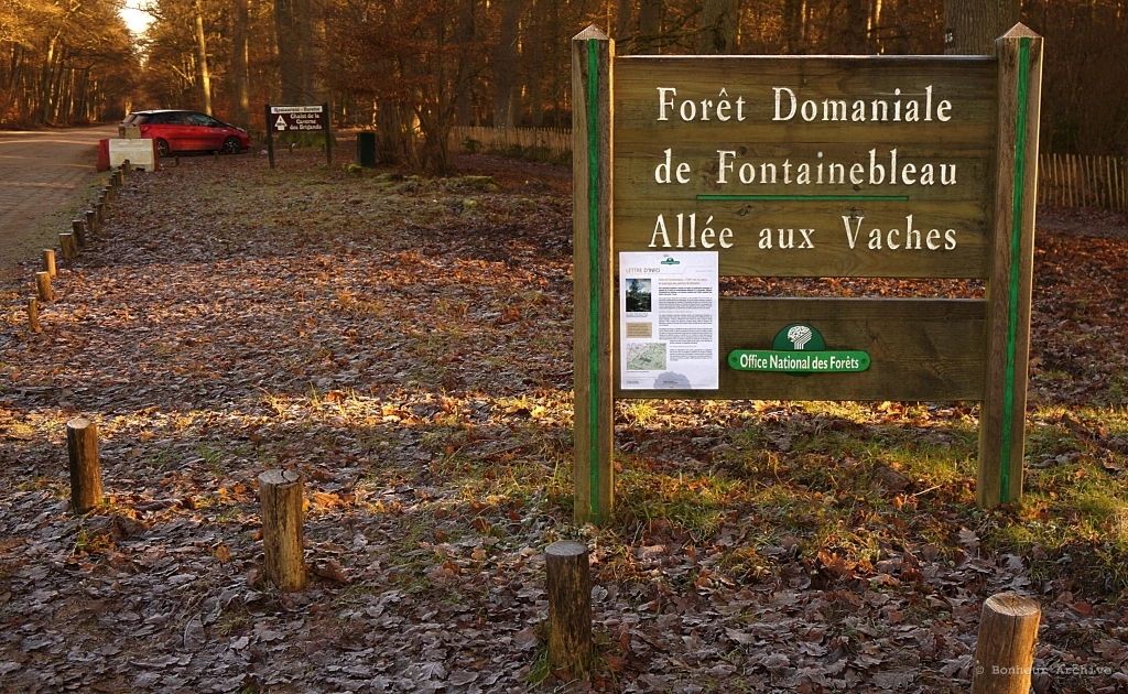 이미지 13.JPG