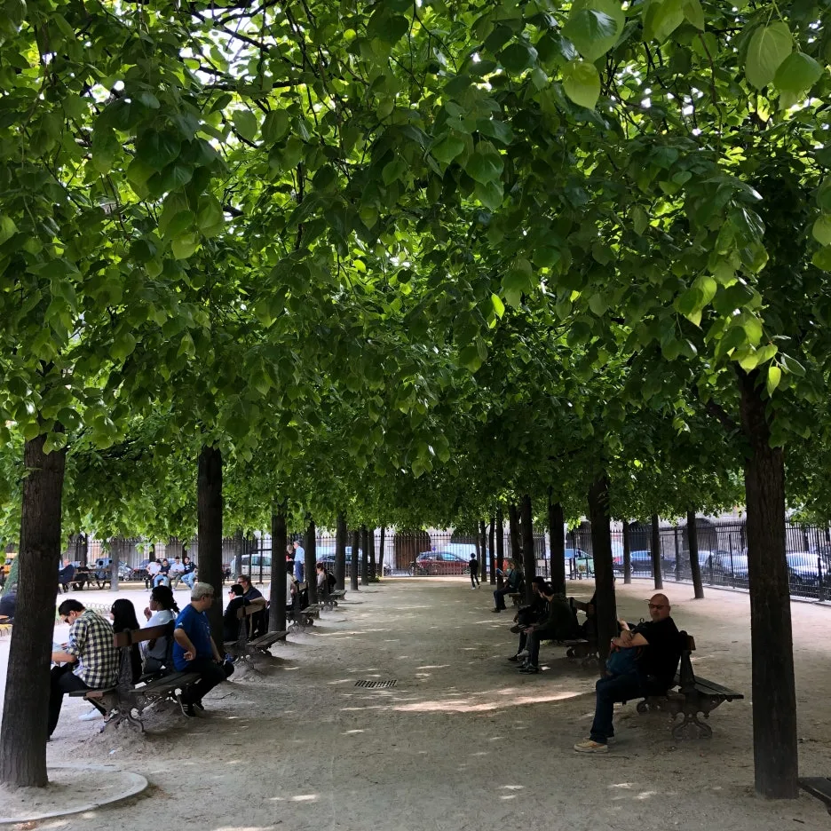 IMG_8835.jpg?type=w1