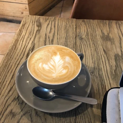 IMG_1351.jpg?type=w466