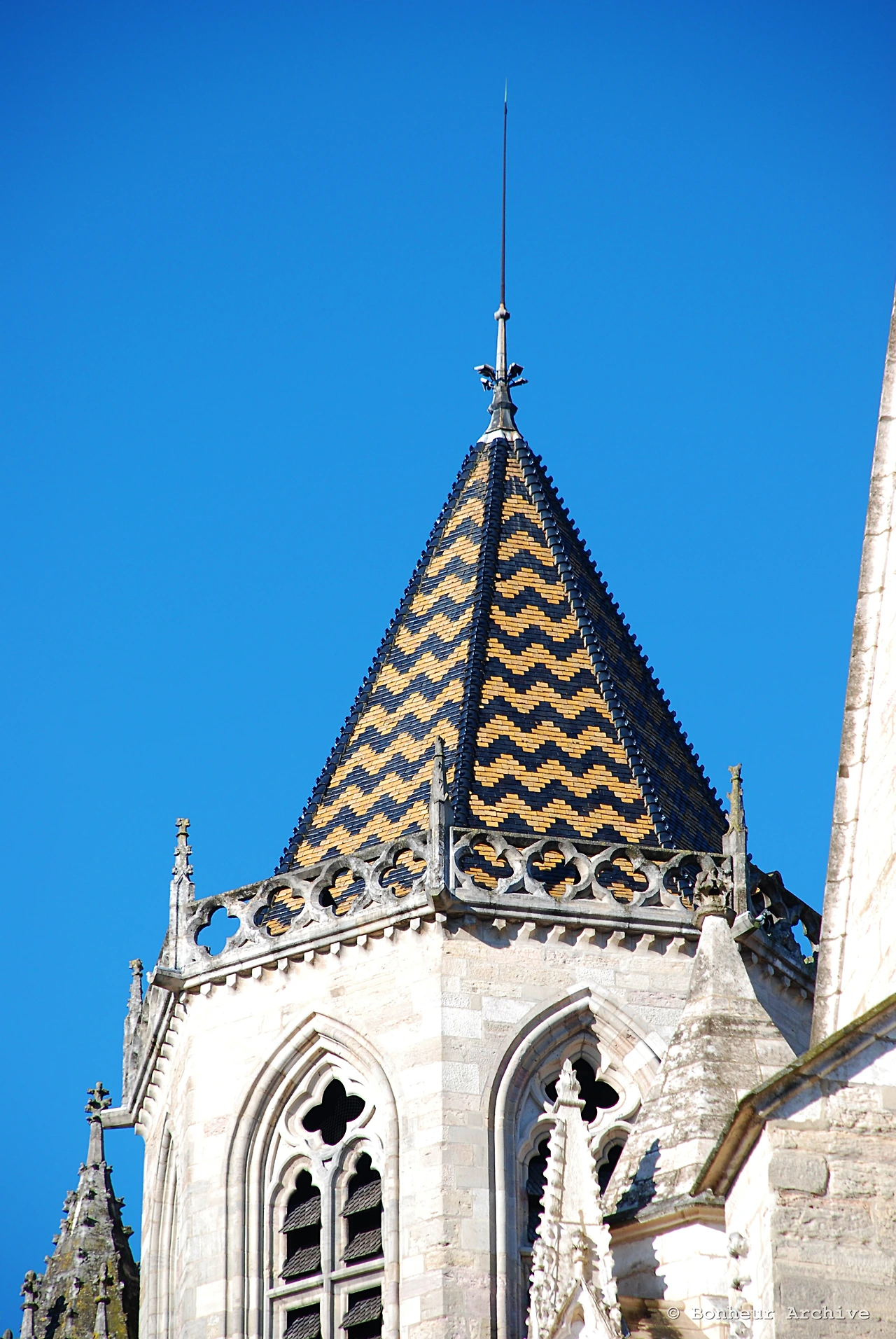 이미지 03.JPG