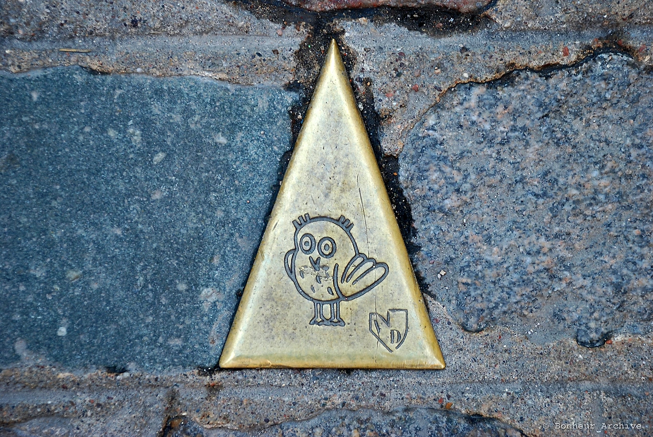 이미지 04.JPG