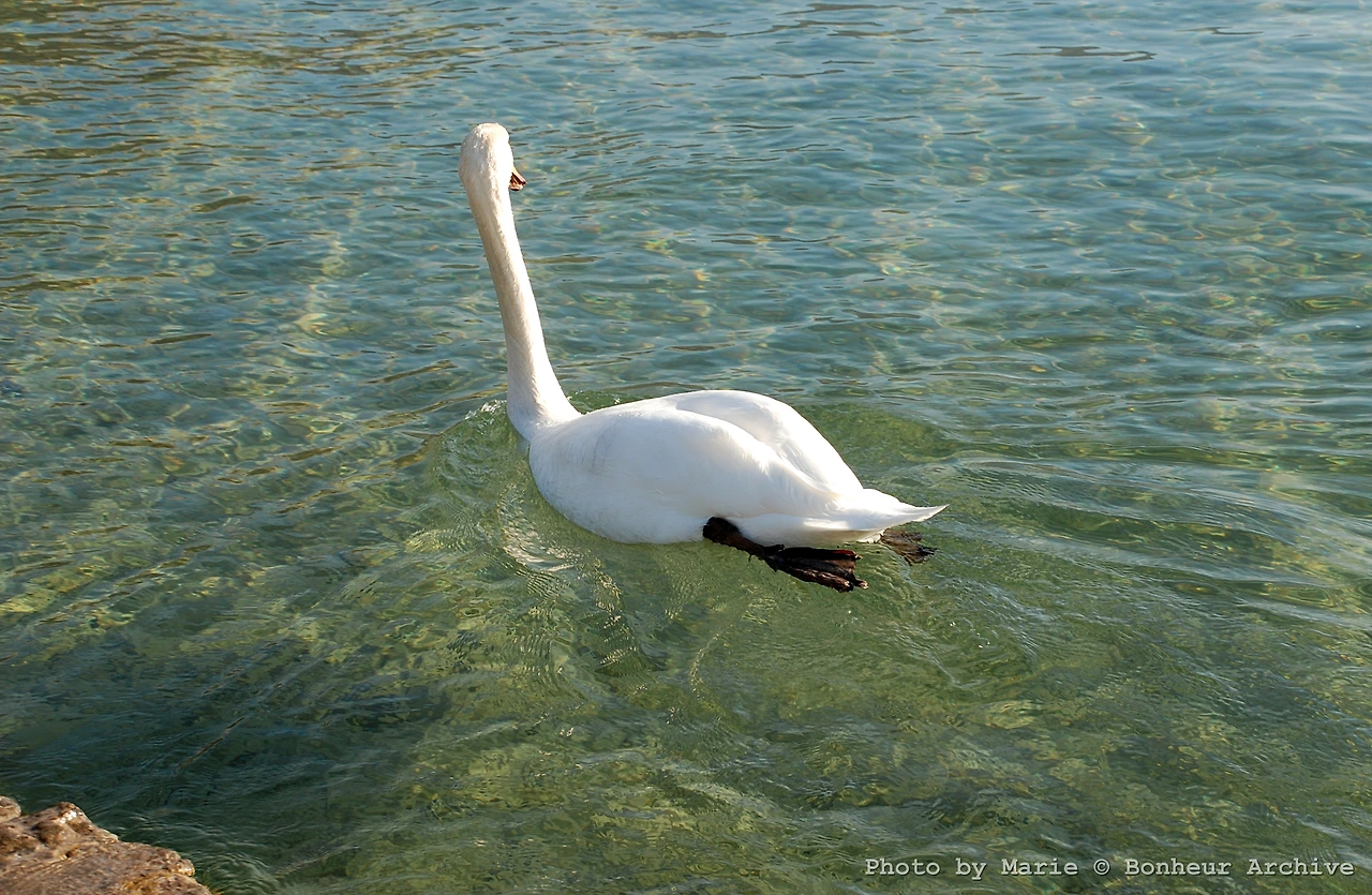 이미지 02.JPG