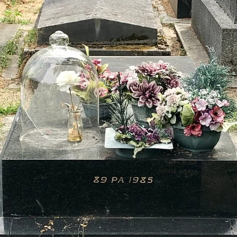 IMG_21.jpg?type=w466