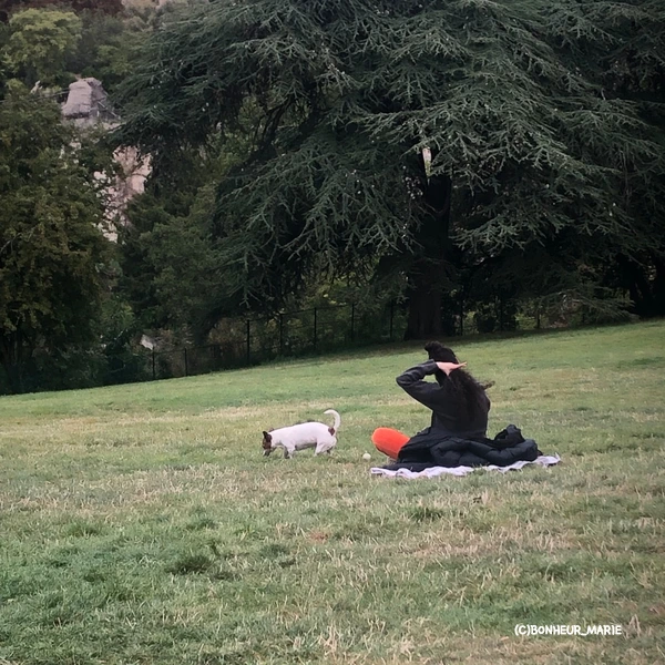 SE-86732d97-2132-48a5-8b5f-9cf1e5663fdc.jpg?type=w1