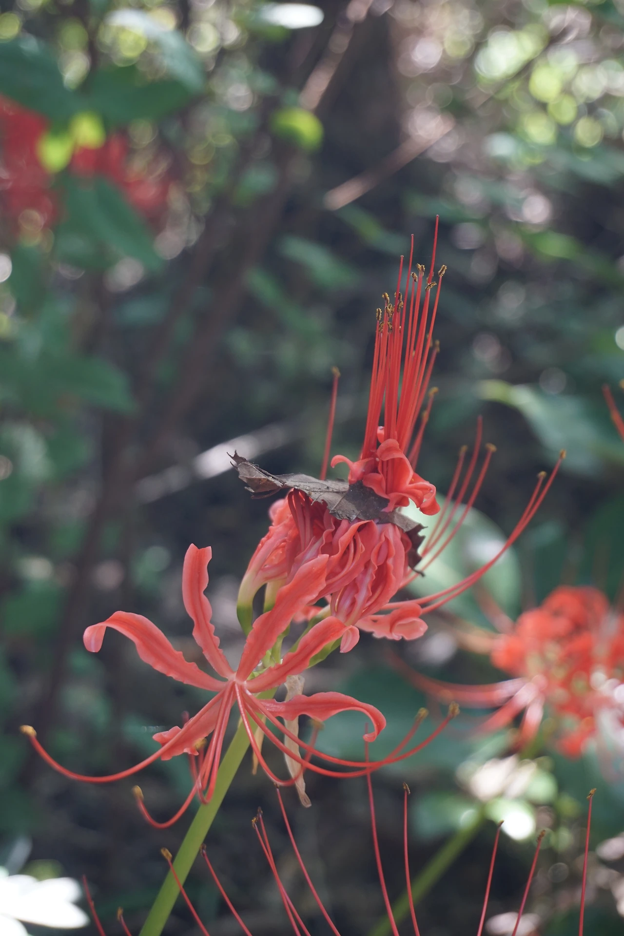 활용 배경사진 (3).JPG