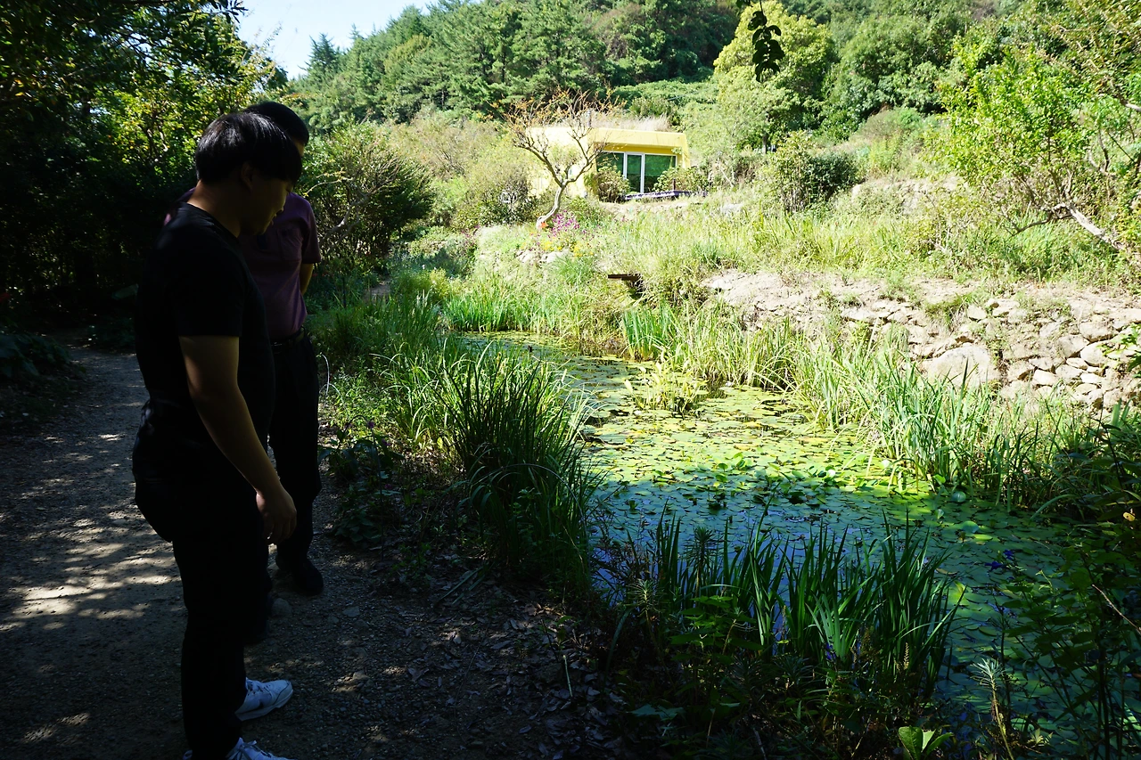 활용 배경사진 (1).JPG