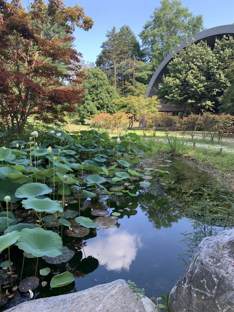 9323A856-6F91-4BA5-8F97-388B60D6E40D.jpeg?type=w773