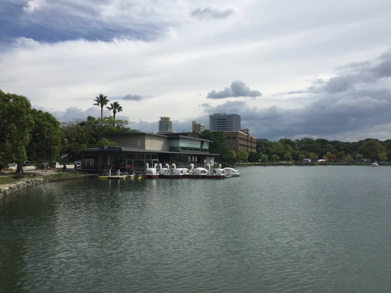 7E545801-D821-45D8-8ECE-389275E16C1E_1_105_c.jpeg?type=w773