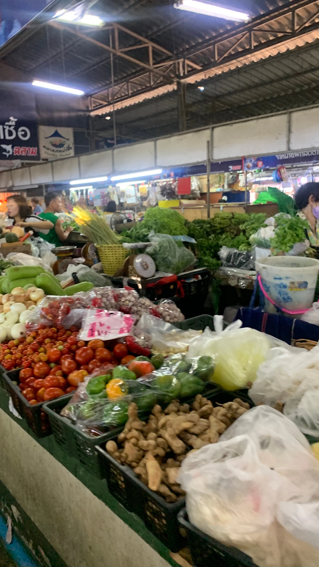 치앙마이시장.JPEG