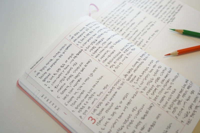 DSC03448.JPG?type=w800