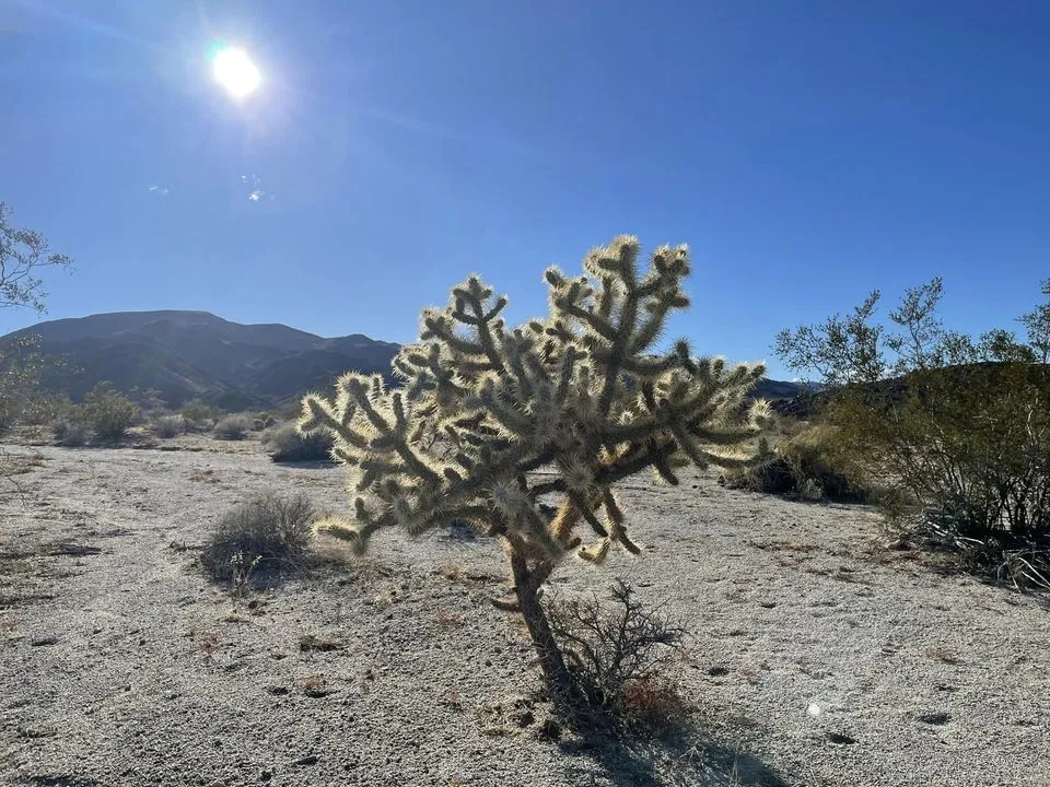 424974520_1661356401063736_7580345704241053900_n.jpg?stp=cp6_dst-jpg_p720x720&_nc_cat=107&ccb=1-7&_nc_sid=dd5e9f&_nc_ohc=vq4odsjKVB4AX875I_u&_nc_ht=scontent-ssn1-1.xx&oh=00_AfDeFvc_GSmOBCCk01oXRNsn14eHBilc4rIWmYj2wivUTA&oe=65E08FE8