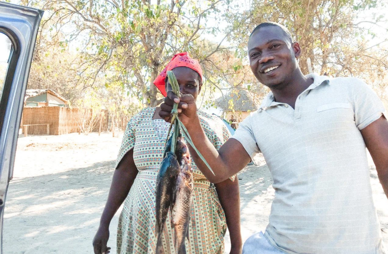 OJwqG7uZ8kB6QlWZHuUvOILM6dg