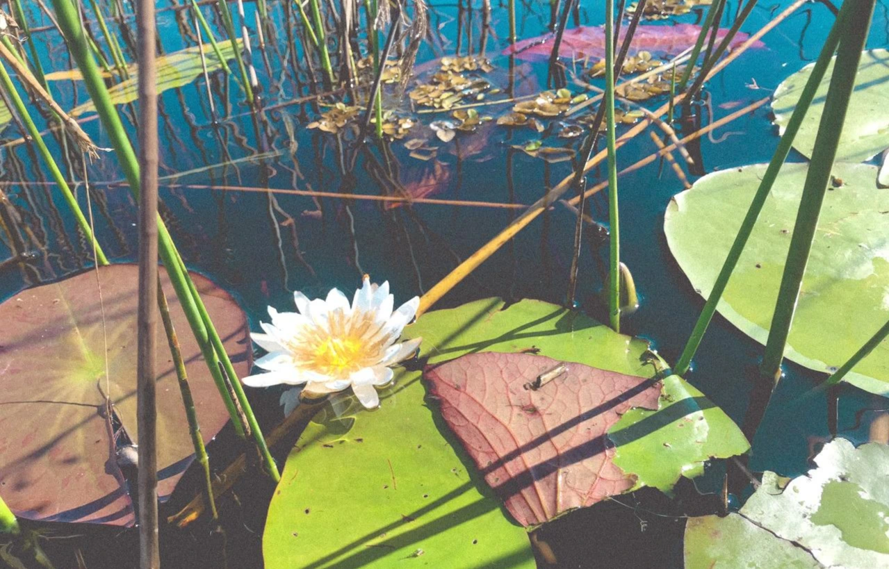 x9n8j9H6Q-WwMYnzKHWxXTZLVrs