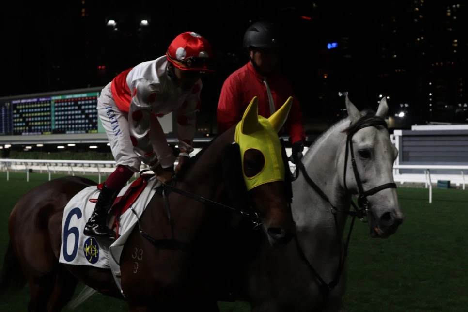 43F336FF-8B4B-4A85-8095-8580E726883B_1_105_c.jpeg?type=w966