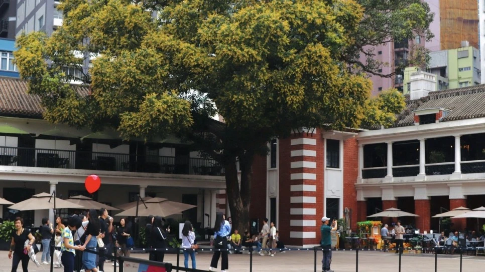 214EF85B-895A-410D-BB56-A86431213BF9_1_105_c.jpeg?type=w966