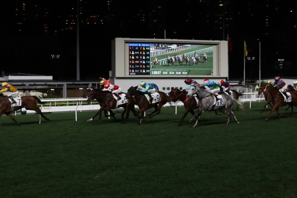 8A778FEE-263B-4B98-A52F-7508B9EA7EF4_1_105_c.jpeg?type=w966