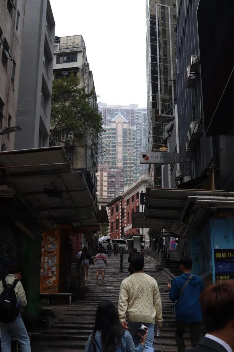 5716D90D-0550-44F7-9244-FDDBCC1E8CBF_1_105_c.jpeg?type=w466