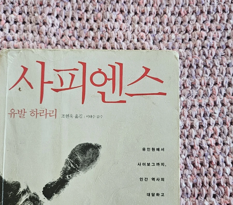 900%EF%BC%BF20260101%EF%BC%BF094727.jpg?type=w966