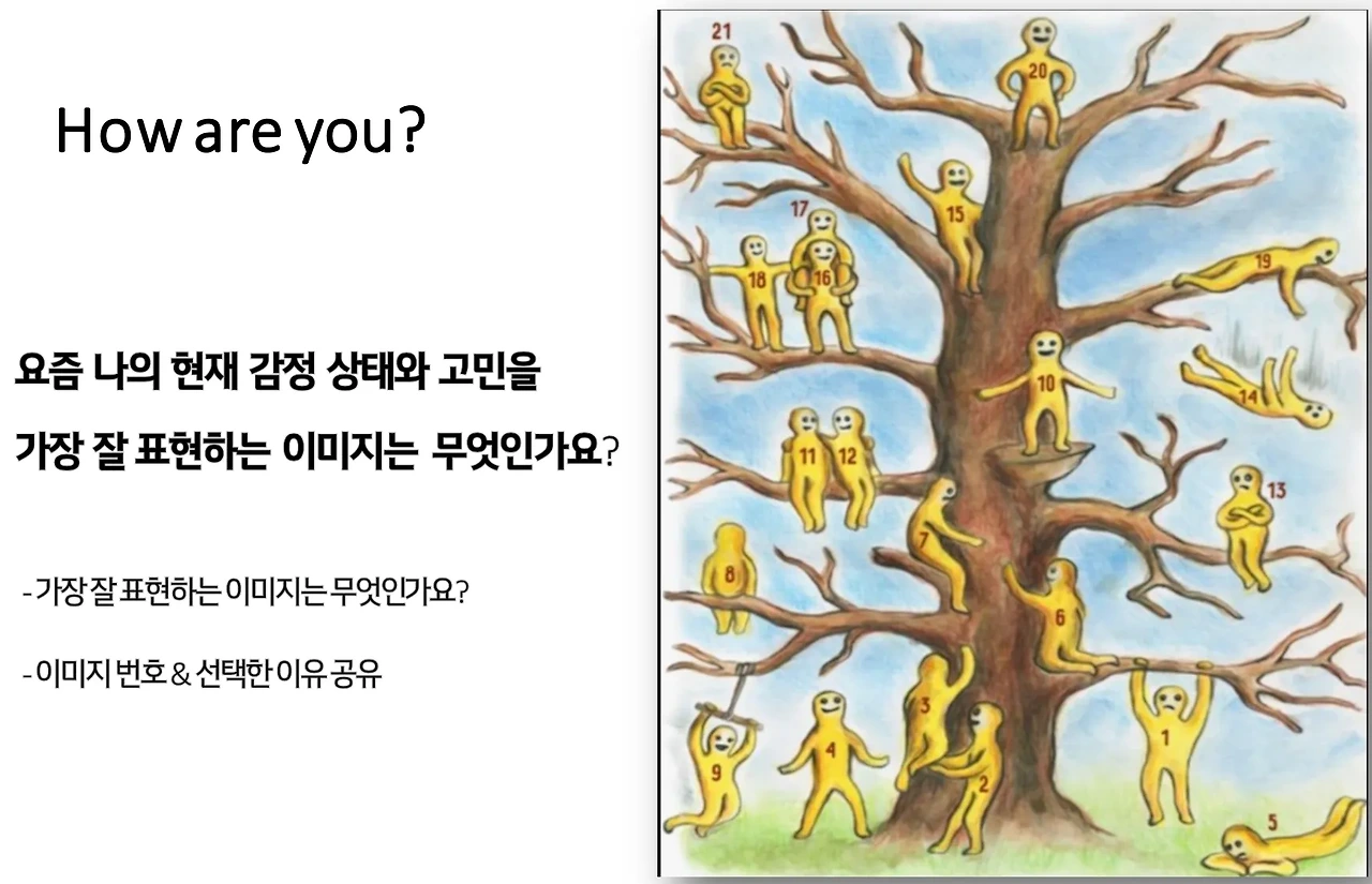 optimize?src=https%3A%2F%2Fstatic.wanted.co.kr%2Fcommunity%2F2025%2F1%2F12%2F6a60c061-c2e4-44ee-a304-30523fa8d534&w=inherit&q=80