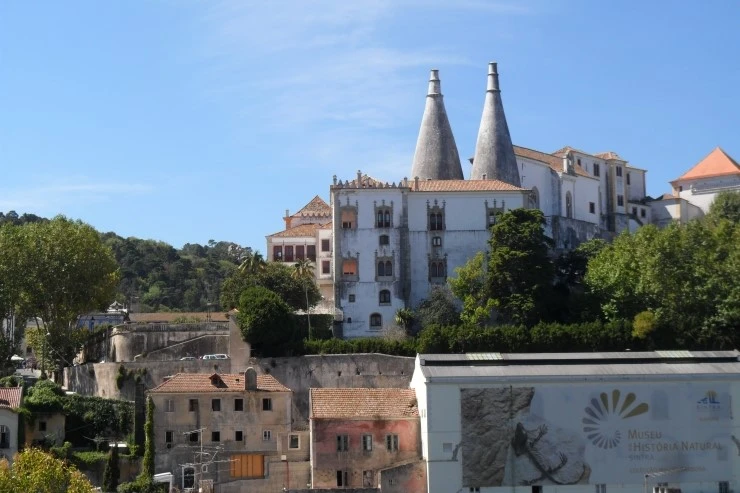 SAM_5035.JPG?type=w1