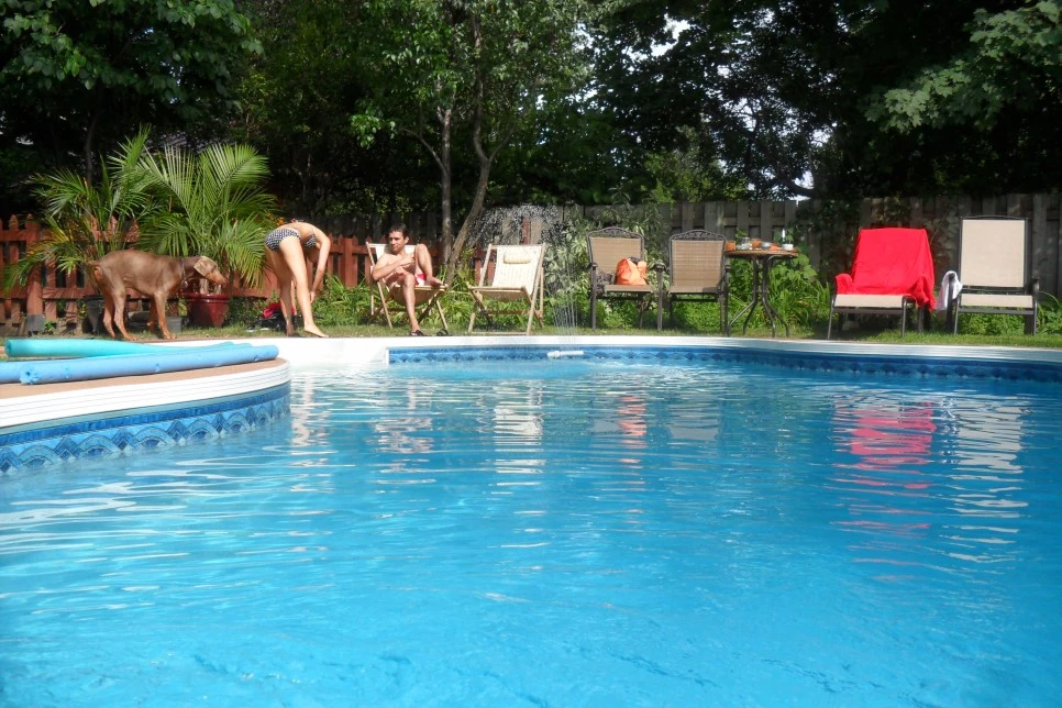 SAM_0873.JPG?type=w966