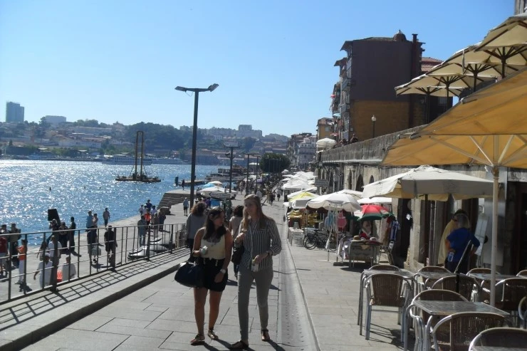 SAM_5213.JPG?type=w1