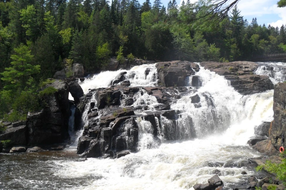 SAM_0963.JPG?type=w966