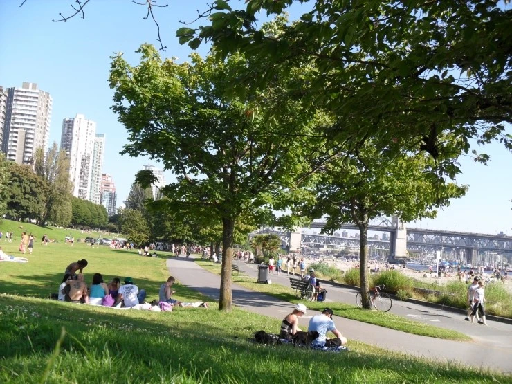 SAM_1105.JPG?type=w1