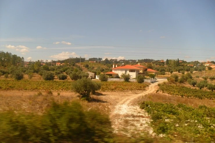 SAM_4414.JPG?type=w1