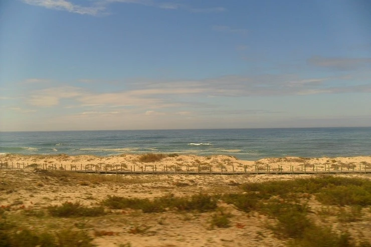 SAM_4410.JPG?type=w1