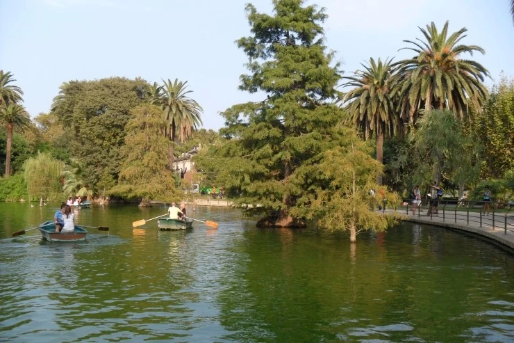 SAM_3564.JPG?type=w1