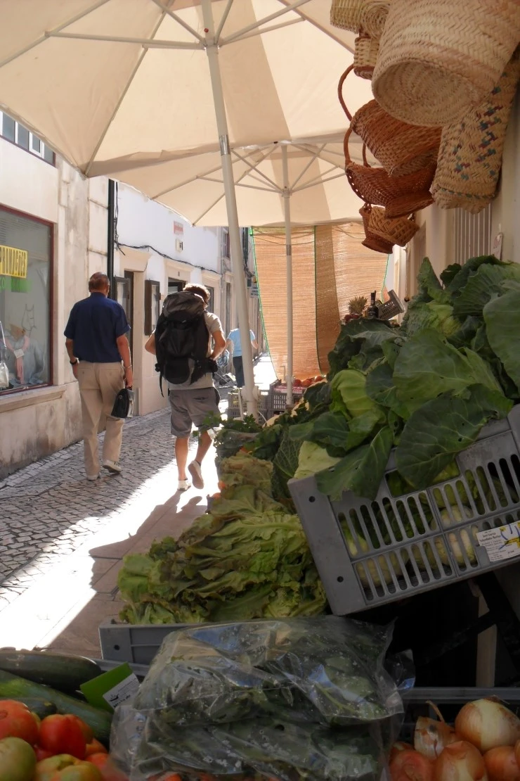 SAM_4498.JPG?type=w1