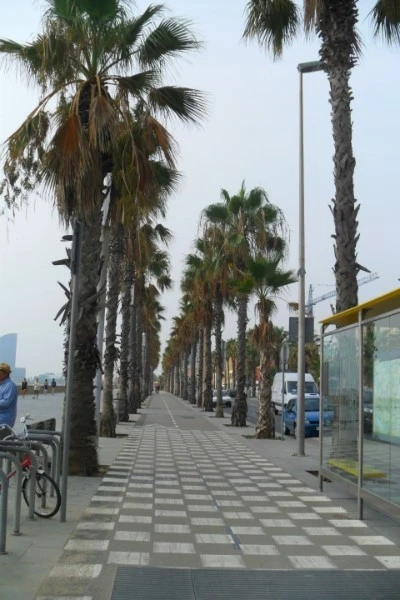 SAM_4010.JPG?type=w1